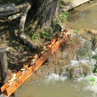 Mlinarjeva pot 14.09.2013 94